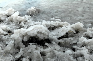 03 salt 19016 1920